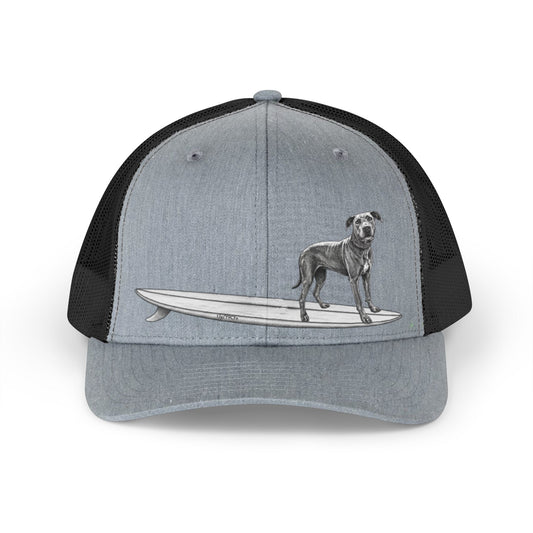 Gray and black cap with a Great Dane on a surfboard design on a gray background