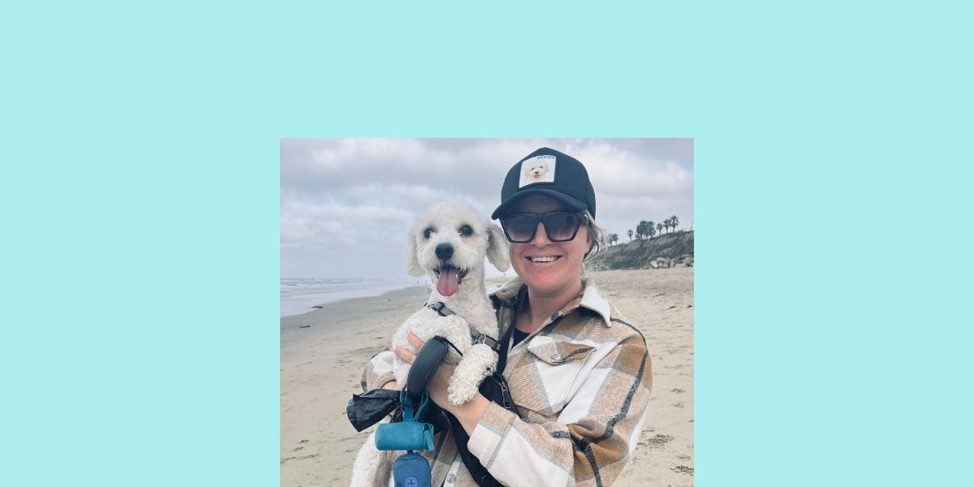 Dexter Hits the Shore — A Maltipoo's First Day at Dog Beach