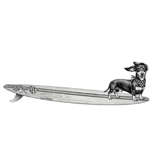 DACHSUND Oscar Surf Shop