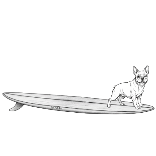 FRENCH BULLDOG Lily Surfshop