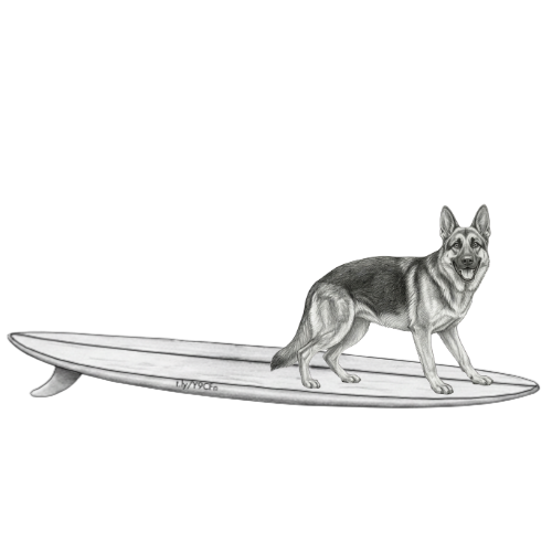 GERMAN SHEPHERD Addie Surf Shop