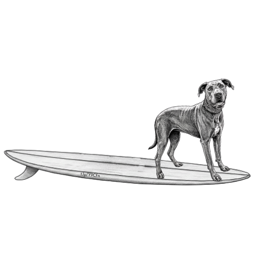 GREAT DANE Luna Surf Shop