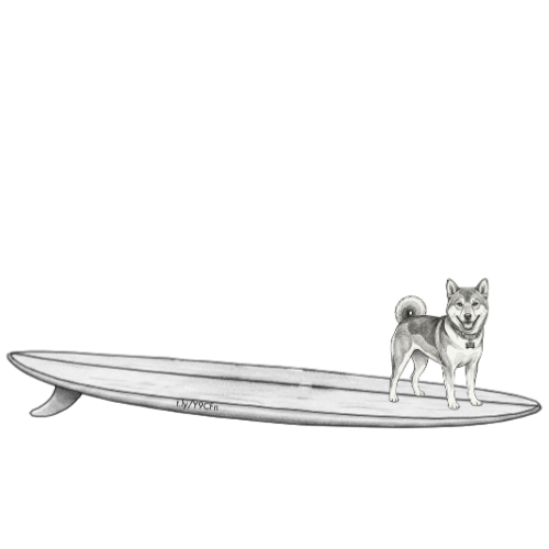 SHIBA INU Kuma Surf Shop